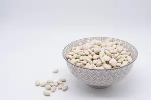 Protein Junior